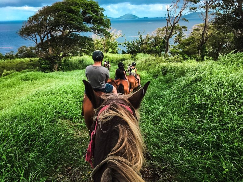 Entre mer et nature sauvage : vivez la Guadeloupe à cheval