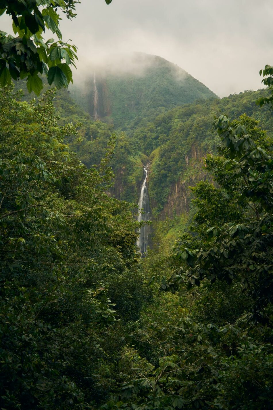 Randonnée sur la “Vieille Dame” : cap sur la Soufrière de Guadeloupe