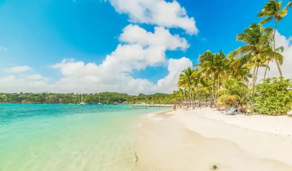 Visiter la Guadeloupe entre octobre et novembre : Bons plans et calme garanti
